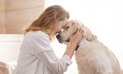 Tierkommunikation: Verstehe die Sprache deines Haustiers