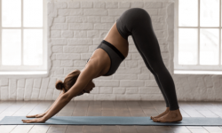 Vinyasa Yoga für Anfänger: Tipps, Tricks und Anregungen