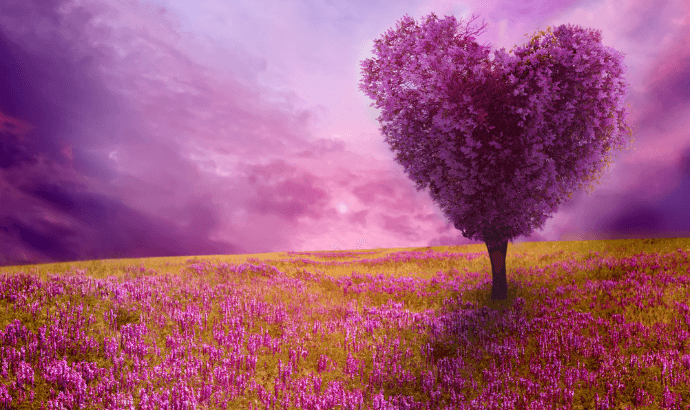 Liebe: Wenn die Liebe liebt